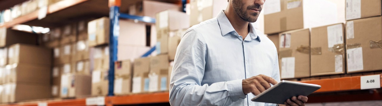 Business professional using a digital tablet while working in a warehouse. Computer vision Computer vision solution Computer vision model  Inventory management