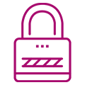 Network security icon